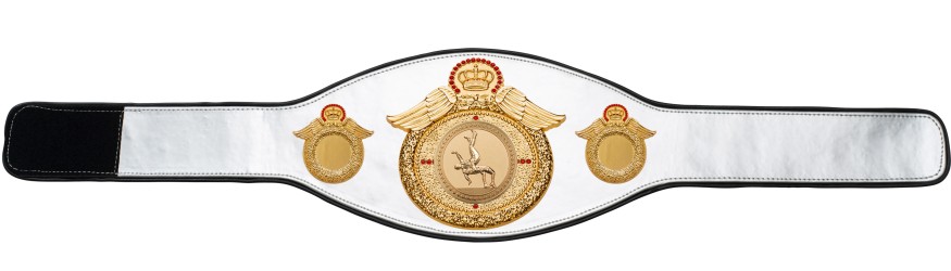 WRESTLING CHAMPIONSHIP BELT-PROWING/G/WRESTG-6+ COLOURS